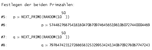 RSA1